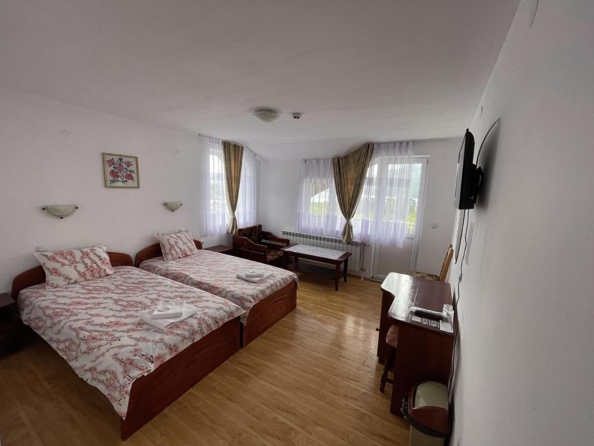 Family Hotel Panorama 瑟尔尼察 外观 照片