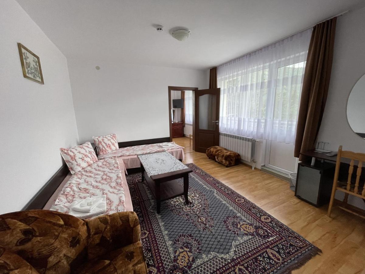 Family Hotel Panorama 瑟尔尼察 外观 照片