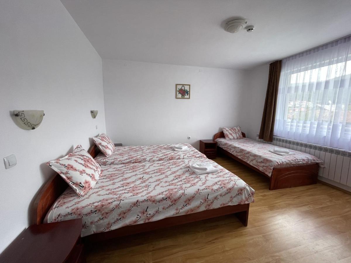 Family Hotel Panorama 瑟尔尼察 外观 照片