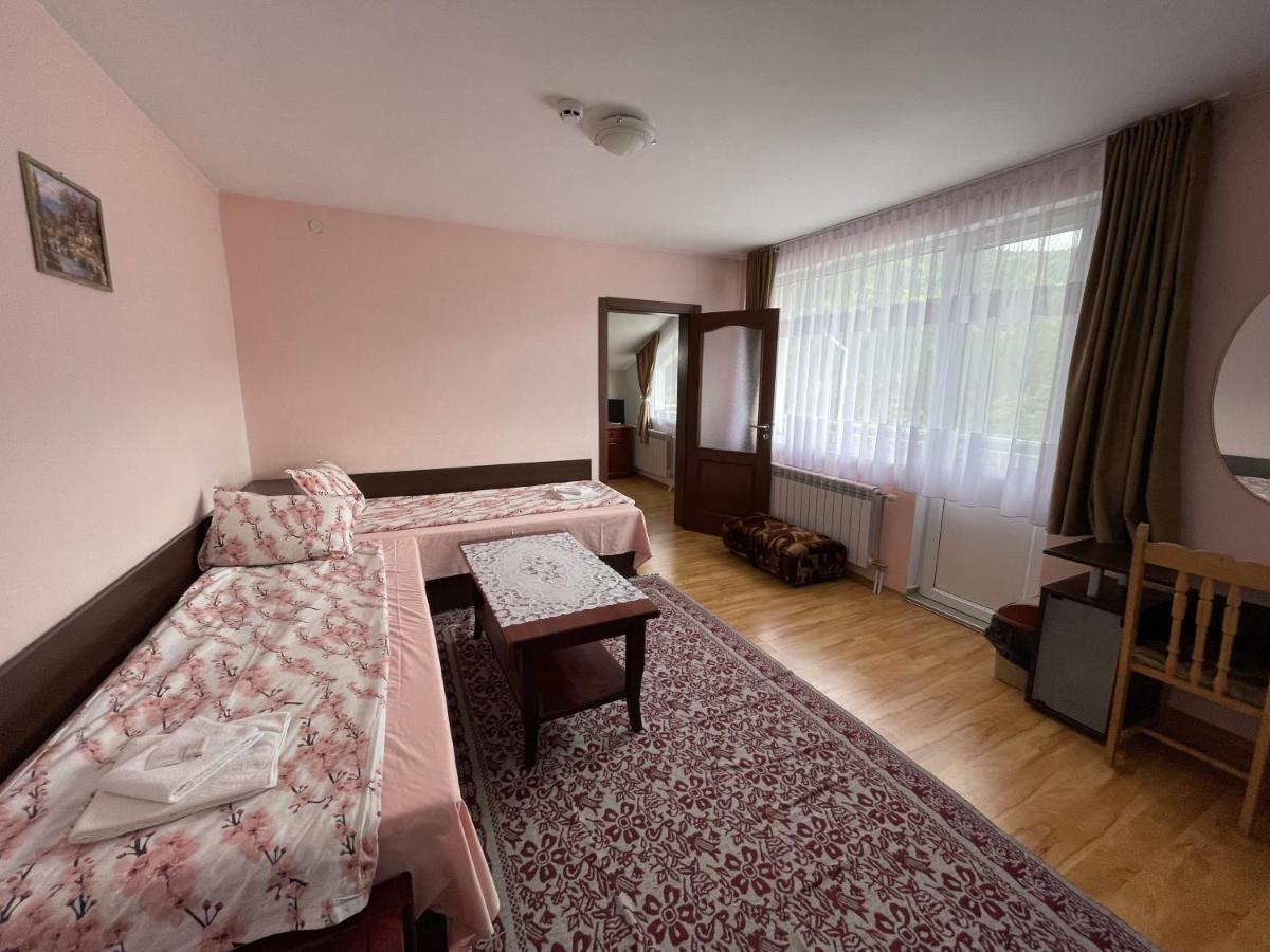 Family Hotel Panorama 瑟尔尼察 外观 照片