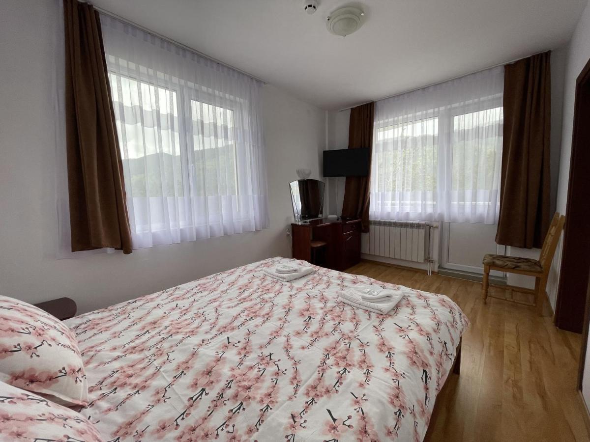 Family Hotel Panorama 瑟尔尼察 外观 照片