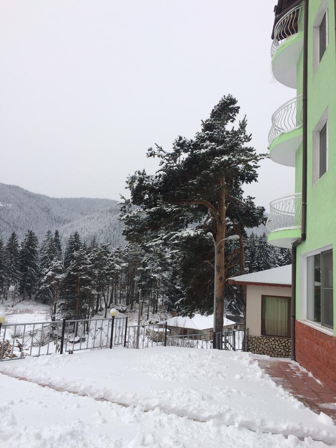 Family Hotel Panorama 瑟尔尼察 外观 照片